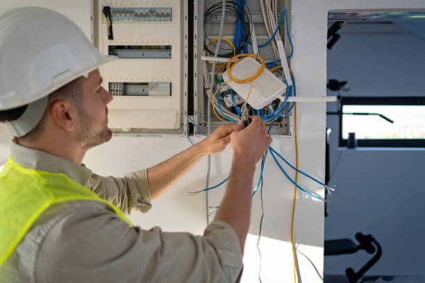 Best Electric Panel Repair  in Fox River Grove, IL